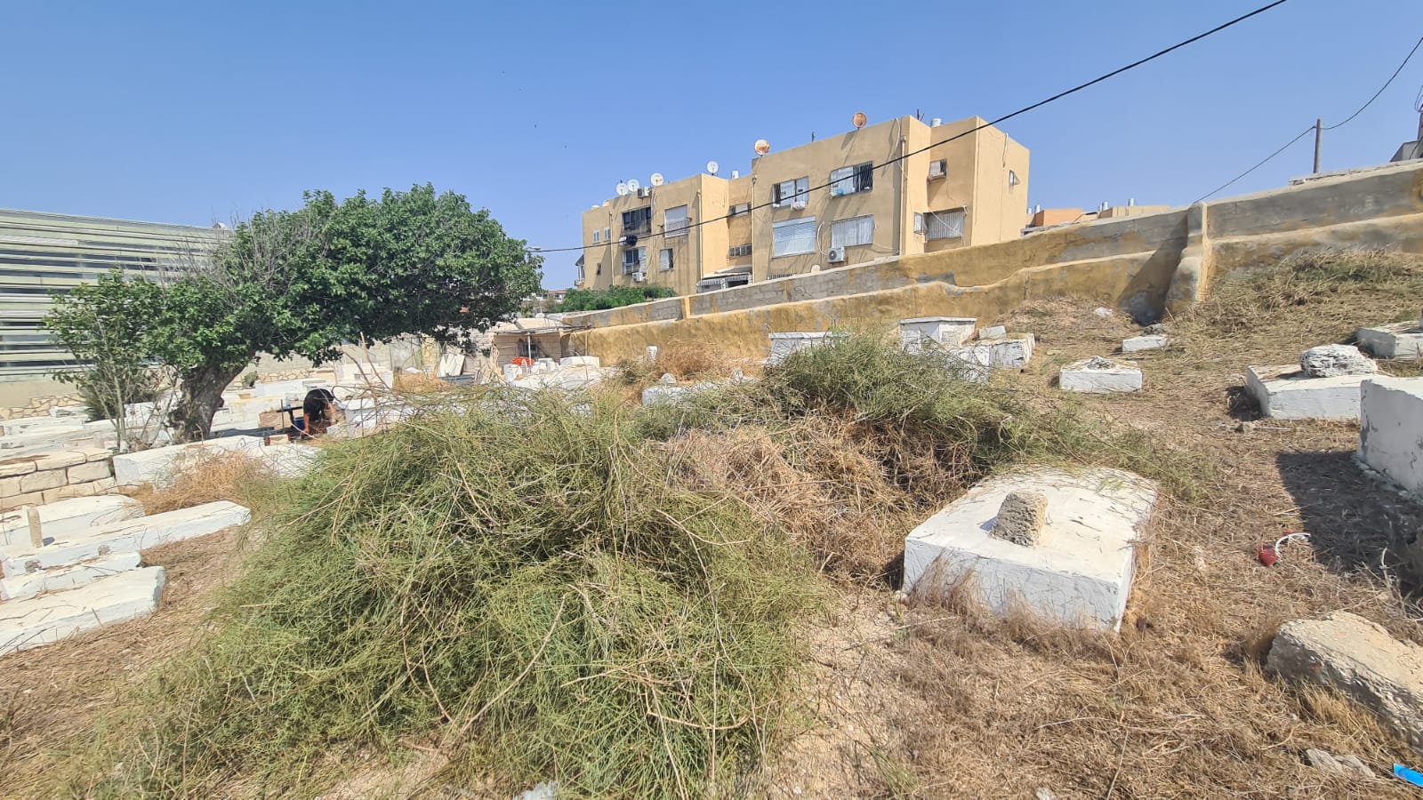 WhatsApp Image 2020-09-19 at 1.45.32 PM (1).jpeg.jpeg